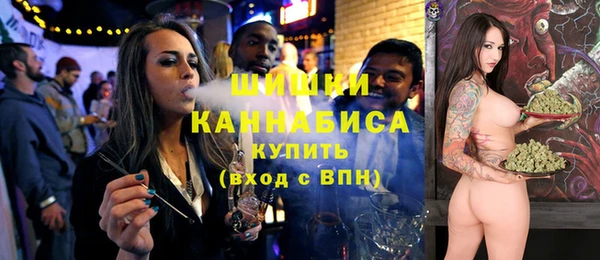 шишки Вязьма