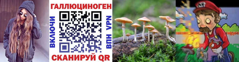 Галлюциногенные грибы Cubensis Озёры