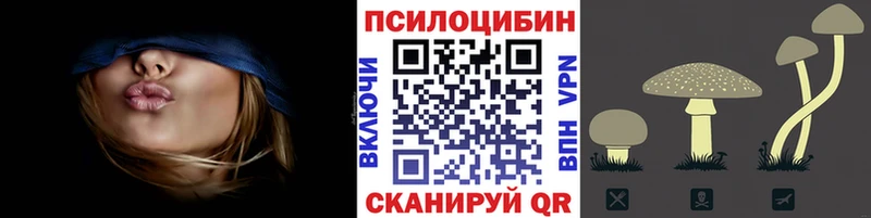 Галлюциногенные грибы Psilocybe  Озёры 